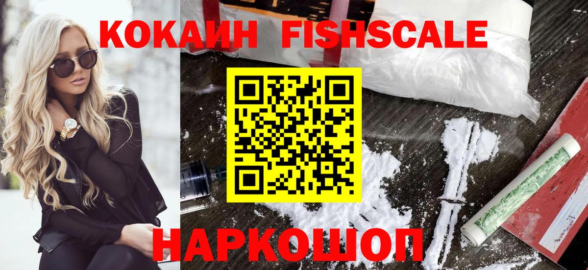 Cocaine Fish Scale  Вход с VPN  Семилуки 