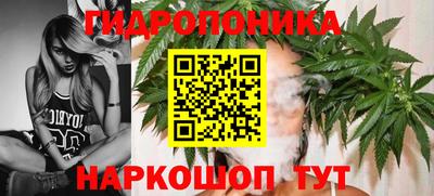 mdpv Севастополь