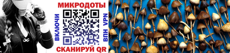 Галлюциногенные грибы GOLDEN TEACHER  Семилуки 